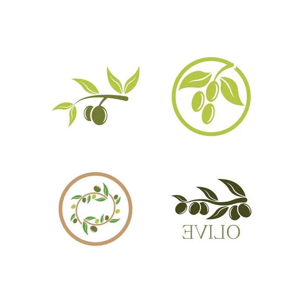 Olive Logo Imágenes Ilustración Dersign Plantilla — Vector de stock