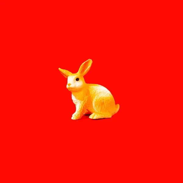 Yellow Bunny Red Background Conceptual Banner Idea Chinese New Year — Stock Photo, Image