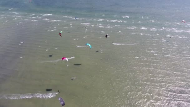 Foto Aérea Varios Deportistas Haciendo Windsurf Costa Del Mar Negro — Vídeos de Stock