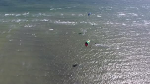 夏の黒海の棚氷で2人の挑戦者の空中撮影2人のアスリートがパラシュートの下でウィンドサーフィンをしている様子を見る豪華な鳥の目夏に砂の海岸と輝く波で黒海の海岸で進む — ストック動画