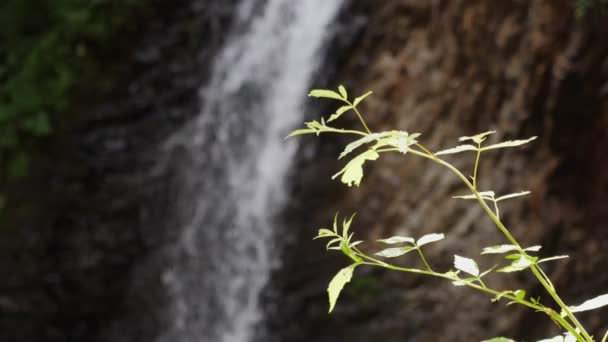 Zauberhafter Wasserfall Mit Funkelndem Fluss Auf Einem Steilen Steinberg Einem — Stockvideo