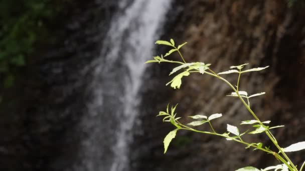 Feenhafter Wasserfall Mit Plätscherndem Fluss Auf Einem Steilen Steinberg Einem — Stockvideo
