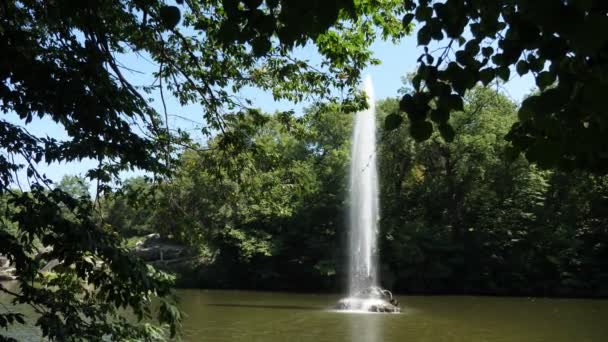 Fonte Fresca Jorrando Alto Lago Com Bancos Cobertos Árvores Verão — Vídeo de Stock