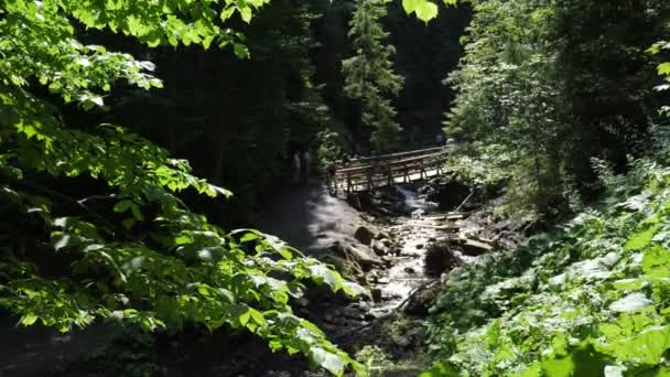 Fröhliche Touristen Die Sommer Auf Einer Holzbrücke Über Ein Flussufer — Stockvideo