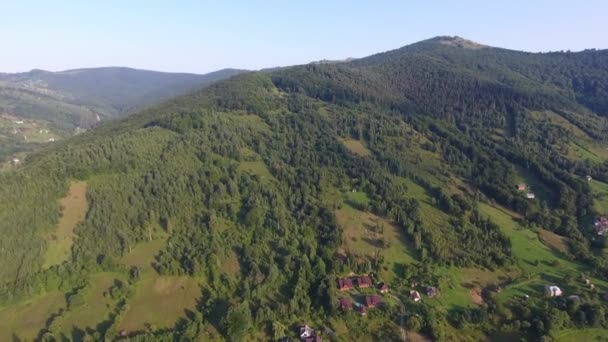 Légifotó Kárpátok Tetejéről Fenyőfákkal Házakkal Nyáron Csodálatos Madártávlat Hosszú Kanyargós — Stock videók