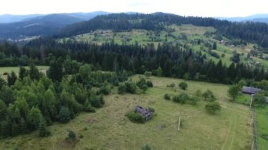 Sonbaharda kır evleri ve çimenlikleriyle Karpat Dağları vadisinde çimen, çim ve küçük evler olan karpatlar manzarası. Çamlar, çam ağaçları ve dağ zirveleri sonbaharda uzakta görülür..