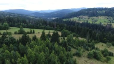 Karpatlar 'a ait yumuşak bir yamaçtan sonbaharda ağaçlık araziler ve evler. Sevimli kuş manzaralı Karpat Dağları. Ahşap şeritler, çimenler, yollar, küçük evler. Sonbaharda ufukta dağ zirveleri görülür..