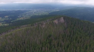 Sonbaharda güneşli bir sonbaharda güneşli bir günde, üçgen, çam ve köknar ağaçlarıyla kaplı üstüyle Karpat Dağları 'na bakan etkileyici kuş manzaralı bir Karpatlar Dağı' nın üç köşeli görüntüsü..