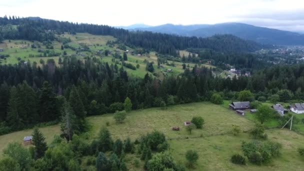 Aerial Shot Carpathian Gentle Slope Woudland Houses Autumn Lovely Bird — Stock Video