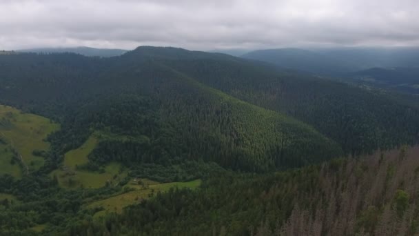 Luchtfoto Van Een Bochtige Kloof Tussen Twee Groene Karpaten Herfst — Stockvideo