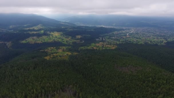 Letecký Záběr Velké Údolí Pokryté Trávníky Lesy Karpat Krásný Pohled — Stock video