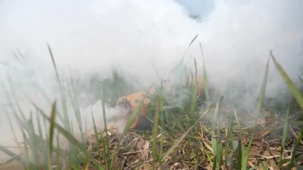 Bomba Humo Militar Yaciendo Terreno Herboso Fumando Con Gas Denso — Vídeos de Stock