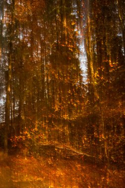 Soyut ICM sonbahar resmi