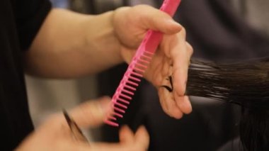 Barber combs and cuts the gray hair ends of an old man with a pink comb. High quality 4k footage