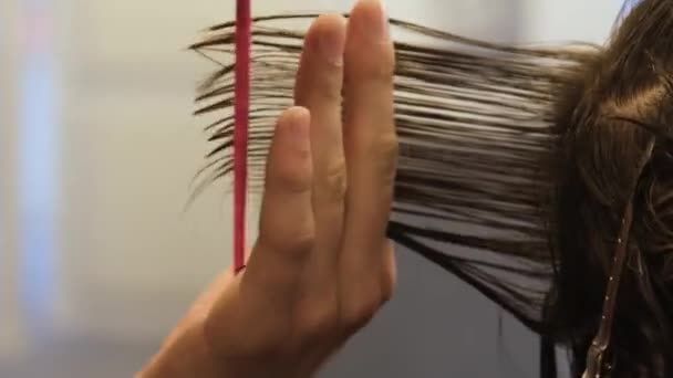 Barber Combs Cuts Gray Hair Old Man Scissors Pink Comb — Vídeo de stock