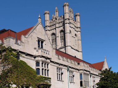 Chicago Üniversitesi, gotik mimari