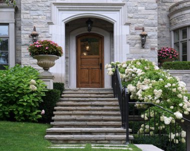 Yazın ortanca çalıları olan ön kapı.