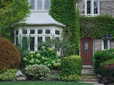 Koyu pencereli ve sarmaşıklı taş evin ön kapısı.