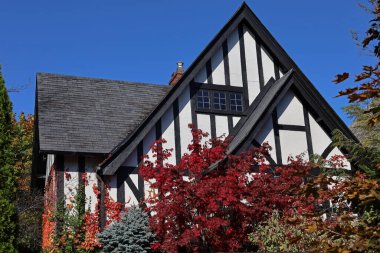 Sonbahar renklerinde sarmaşık ve ağaçlı eski Tudor tarzı bir ev.