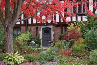 Sonbahar renklerinde akçaağaç ağaçlarıyla dolu bir sokak.