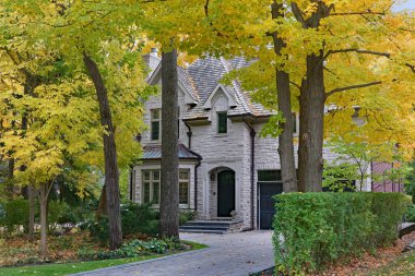 Ağaçlar olgun ağaçlar ve sonbahar renkleriyle kaplı yerleşim yerleri.