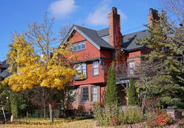 Sonbahar renkleriyle kaplı ağaçlarla kaplı bir sokak.