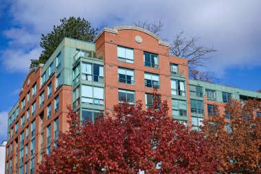 Sonbahar renklerinde meşe ağacı olan apartman binası