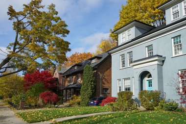 Sonbahar renkleriyle kaplı ağaçlarla kaplı bir sokak.