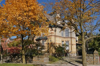 Altın akçaağaçta sonbahar renginde ağaçlar var.