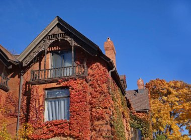 Sonbahar renklerinde sarmaşıklı eski evin gable 'ı