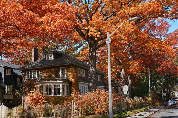 Árbol Forrado Calle Residencial Con Gloriosos Colores Otoño — Foto de Stock