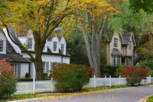 Tree Lined Residential Street Mature Trees Fall Color — Stock Photo, Image