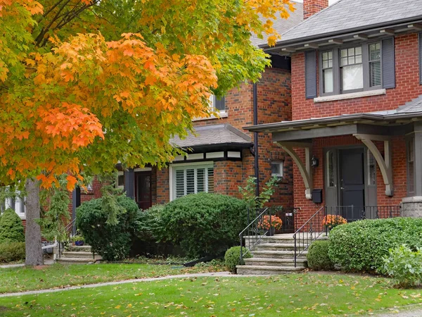 Olgun ağaçların olduğu yerleşim bölgesinde sonbahar sahnesi