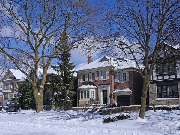 tree lined  residential street in winter
