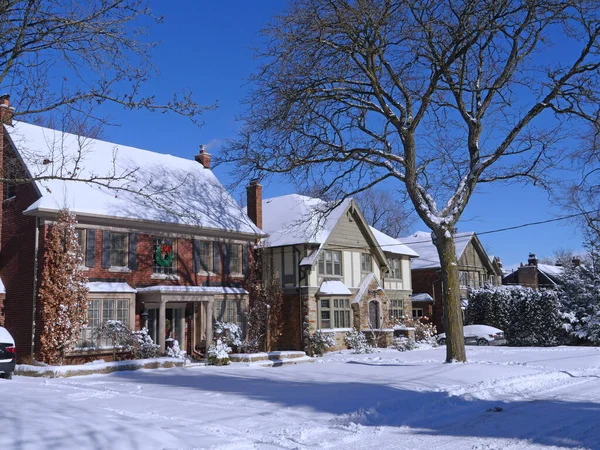 Calle Suburbana Día Soleado Invierno Con Arbustos Cubiertos Nieve —  Fotos de Stock