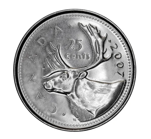カナダの25セント硬貨は カナダの最北の最も一般的な動物の1つであるカリブーを描いています — ストック写真