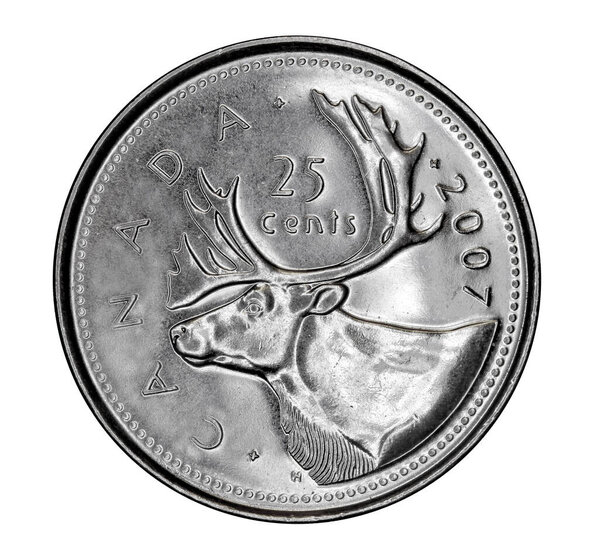 The Canadian 25 cent coin depicts a caribou, one of the most common animals of the far north of Canada.