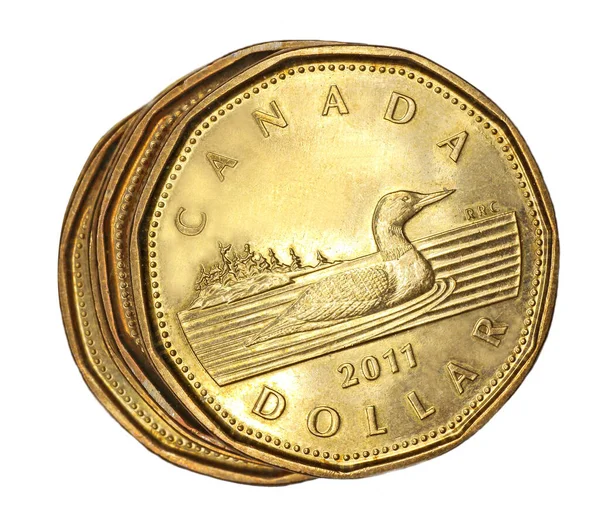 ルーニーとして知られるカナダの1ドル硬貨は 紙幣を置き換え 2012年に25周年を迎えた — ストック写真