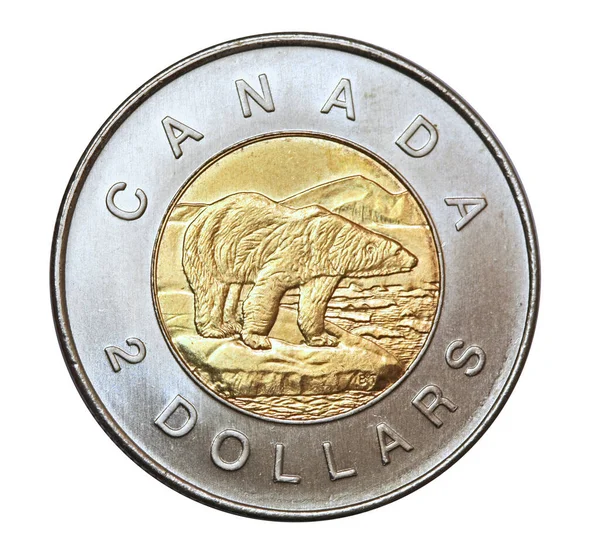カナダの2ドル硬貨はホッキョクグマを特徴としており カナダの生態学的に脅かされている北部地域のシンボルである — ストック写真
