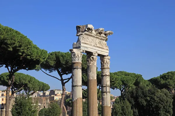 Roma Ruinas Del Antiguo Foro —  Fotos de Stock