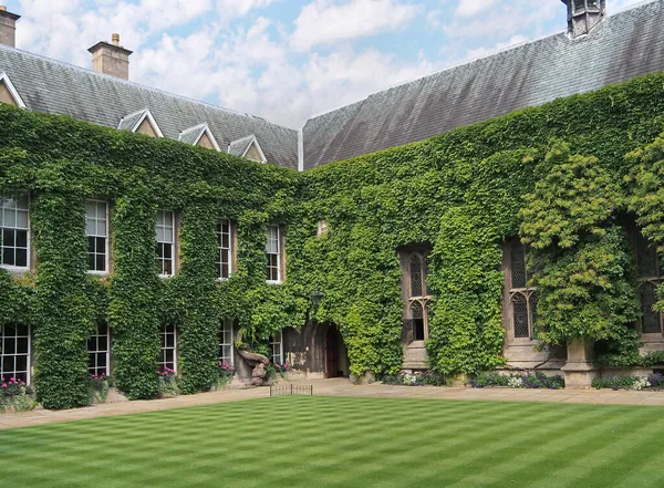 vine covered college building