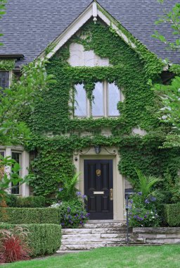 Sarmaşık kaplı evin ön kapısı.