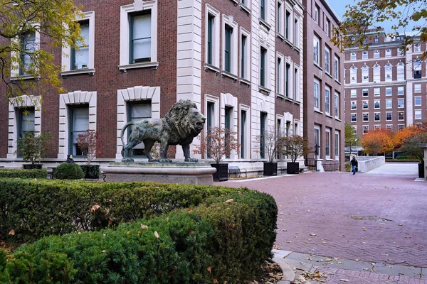 ニューヨークのコロンビア大学キャンパスのライオン彫刻 — ストック写真