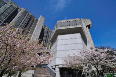 Toronto, Ontario, Kanada - 9 Mayıs 2022: Ana kütüphane binasının önündeki Toronto Üniversitesi 'nde kiraz ağaçları çiçek açıyor