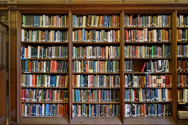 Kütüphane kitaplarıyla ahşap raflar