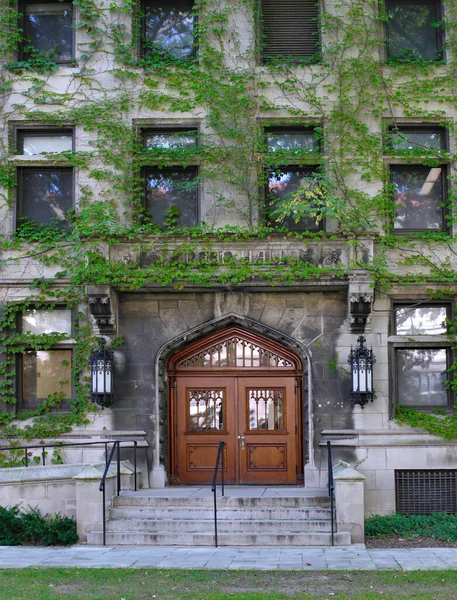 芝加哥大学的哥特式石头建筑 上面覆盖着常春藤 — 图库照片