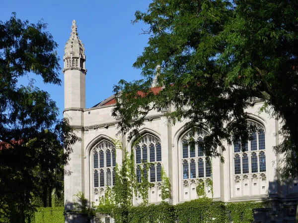 Gothic Style Stone Building Covered Ivy University Chicago — Stock Photo, Image