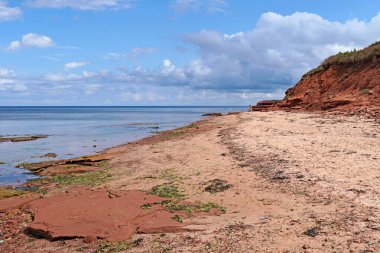 Prens Edward Adası 'ndaki deniz kıyısında renkli yosunlar ve deniz yosunlarıyla kırmızı kayalar ve kum.