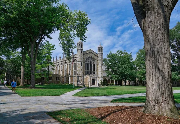 芝生や木々に囲まれたゴシック建築のキャンパス — ストック写真