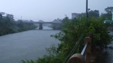 A heavy rain riverside with some plants, a bridge, and a building in the background, a sad mood with nostalgia. High quality FullHD footage